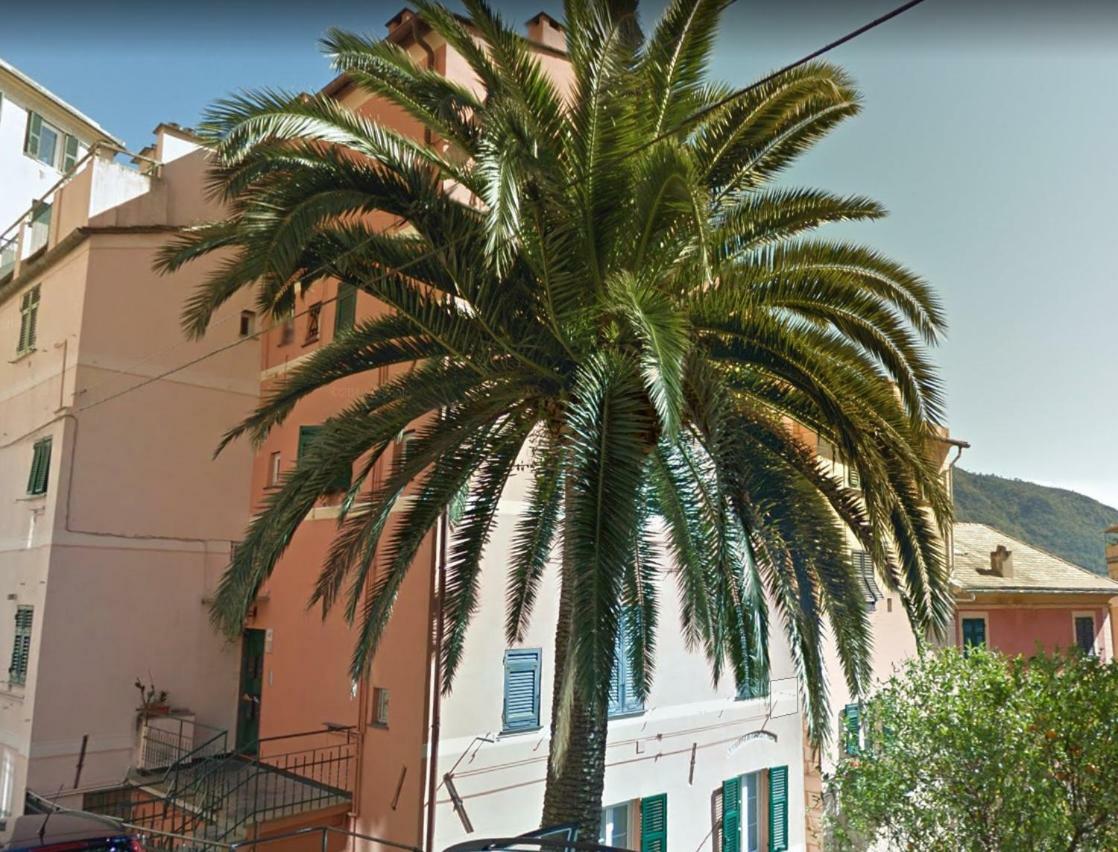 Embarcadero Camogli Exterior foto